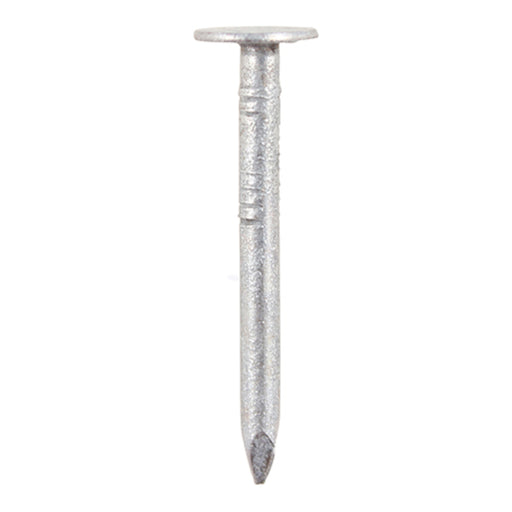 An image of a Timco Galvanised Clout Nail