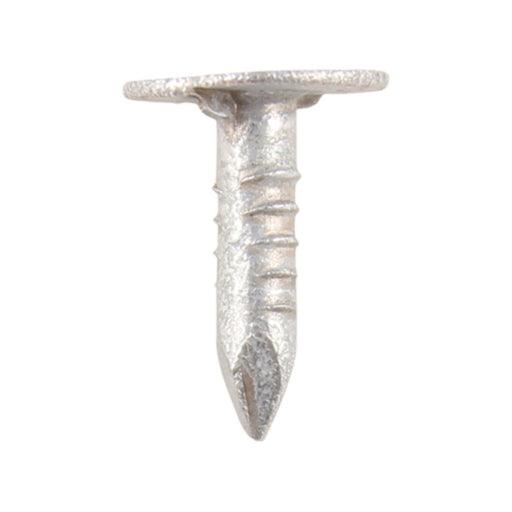An image of a Timco Galvanised Clout Nail with an Extra Large Head (ELH)