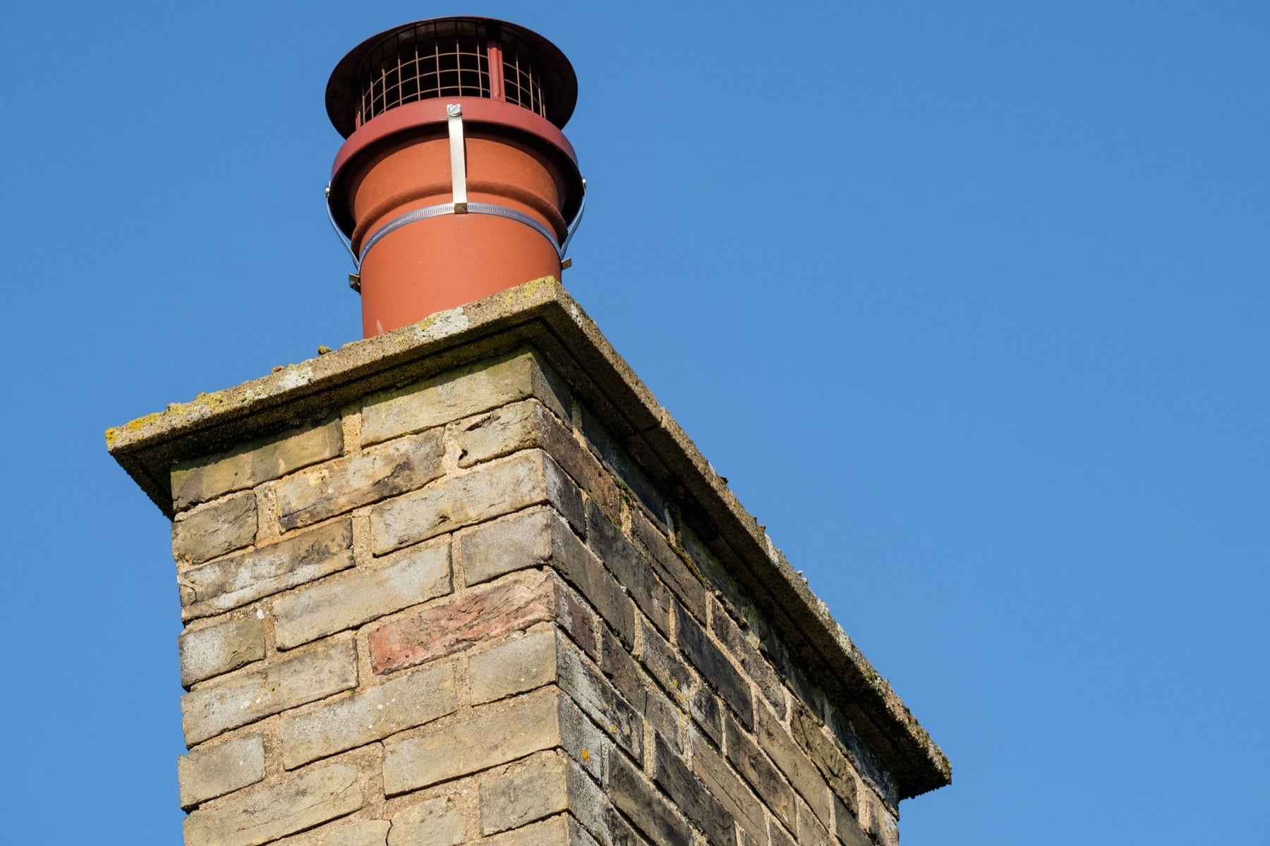 Chimney Cowls vs. Bird Guards: Which is Right for You?