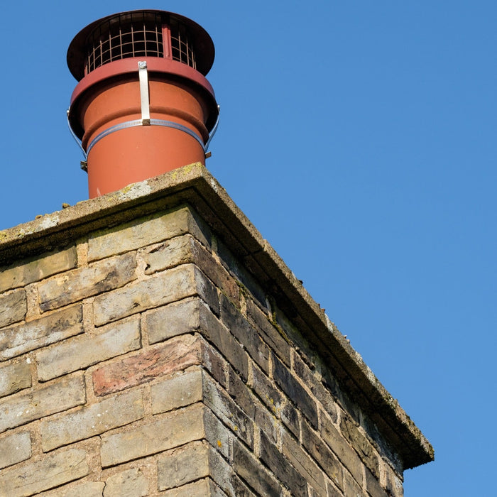 Chimney Cowls vs. Bird Guards: Which is Right for You?