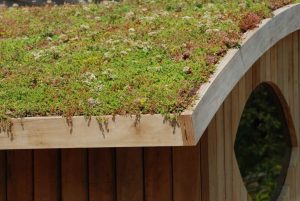 Green Roofs - The Mow Down
