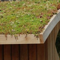 Green Roofs - The Mow Down