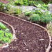 Image of landscaping bard wood mulch used on a path to show what it would look like. They are brown tones and are supplied in a bulk bag