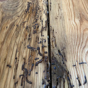 An image showing wood with woodworm to show an example of what to use Everbuild Lumberjack Woodworm Killer on.
