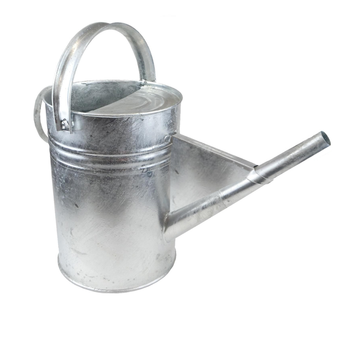 An image of a Galvanised Watering Pouring Can with 3 Gallon capacity and a Thin End