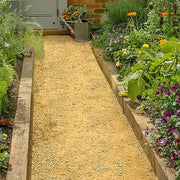 An image showing the Goldpath Self-Binding Gravel that is 0-10mm in size. It is laid on a garden path surrounded by plants in a garden.