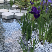 An image showing Ice Blue Pebble Stone Aggregate Gravel. They are laid in a pond in a garden.