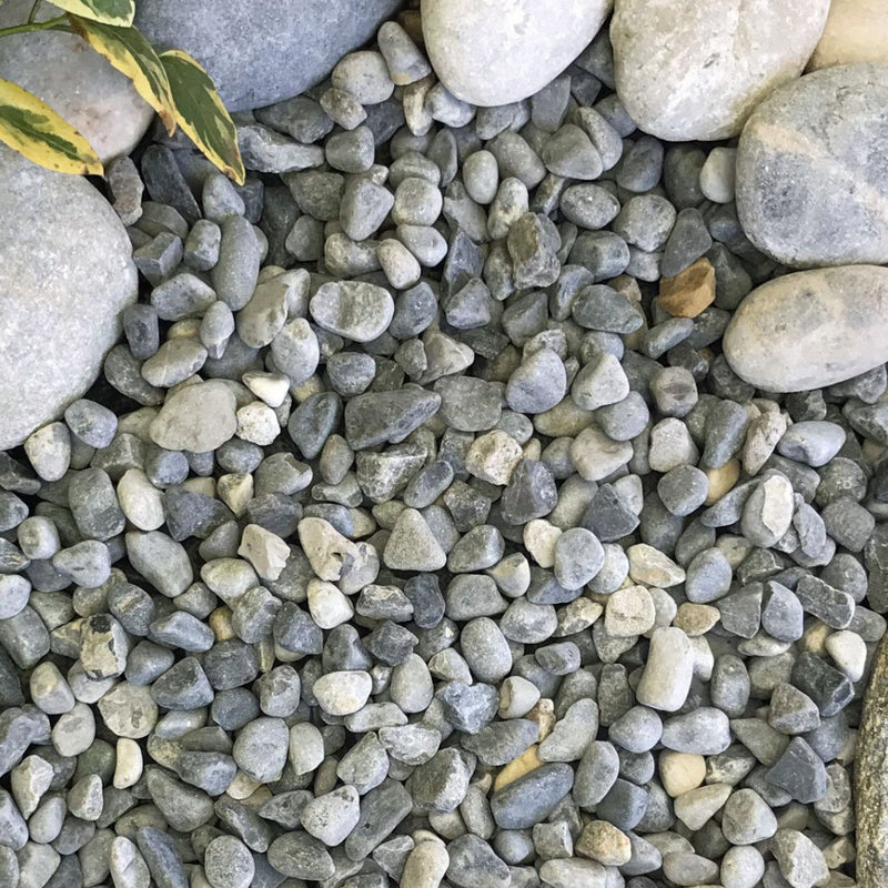 An image showing Ocean Blue Pebble Stone Aggregate Gravel. They are laid as decoration in a garden.