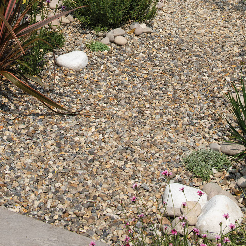 An image showing Oyster Pebble Stone Aggregate Chippings. They are laid as a path in a garden.