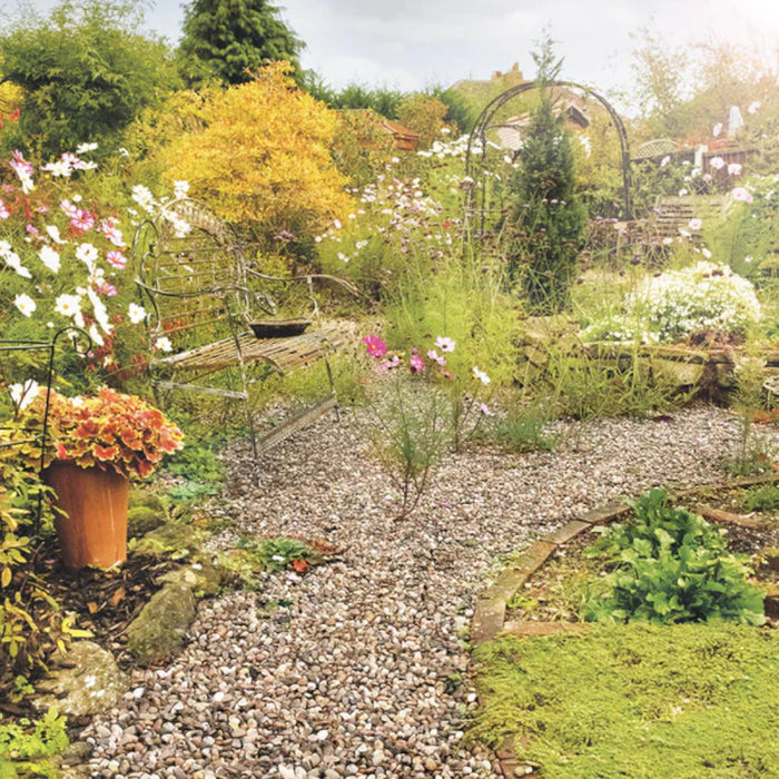 An image of Pea gravel and how they look when laid as part of a garden path