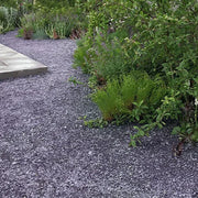An image showing Plum Slate Path 0-12mm Stone Aggregate Chippings when laid in a garden as a walk way