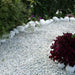 An image of Polar White garden Stones and what they look like when laid out as a garden path