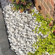 An aggregate image of Polar White Pebble stones laid into a garden border to show what they look like when dry