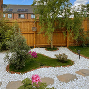An aggregate image of Polar White Pebble stones laid into a garden path to show what they look like when dry