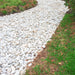 An image of Polar White Garden stones and what they look like when used as a garden path.