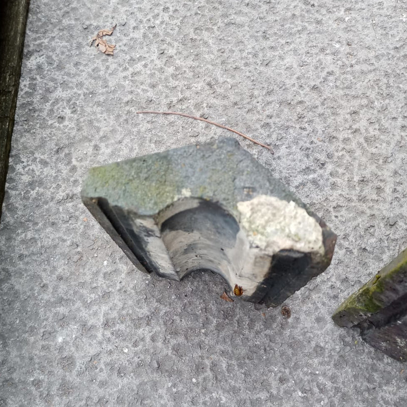 CLEARANCE Square Edge Saddleback Coping Stones, Staff Blue