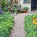 An image of Staffordshire Pink Gravel, 20mm and what it looks like when laid as a garden path.