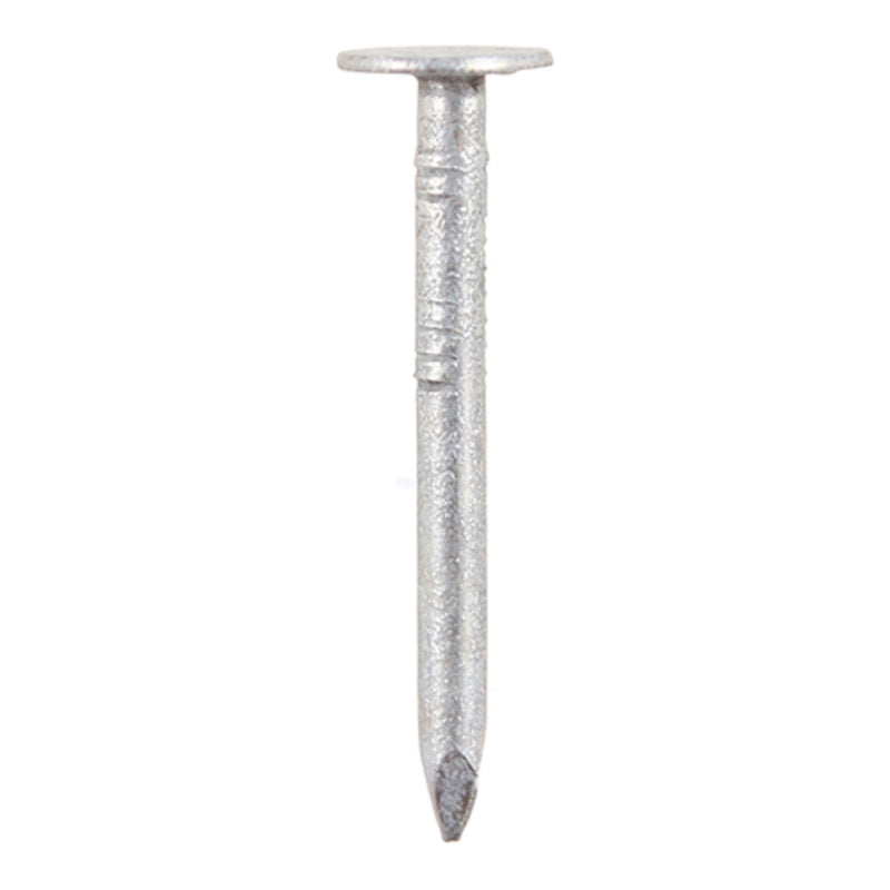 An image of a Timco Galvanised Clout Nail