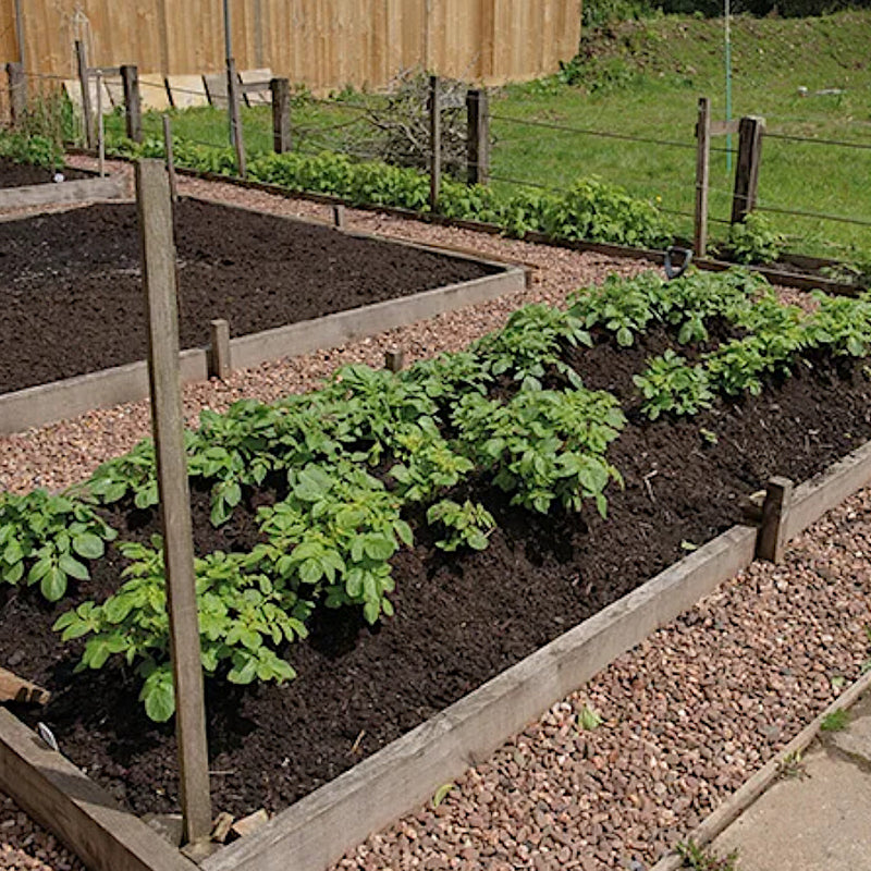 An image showing Peat free and stone free Top Soil being used to grow Plants in a raised planter.
