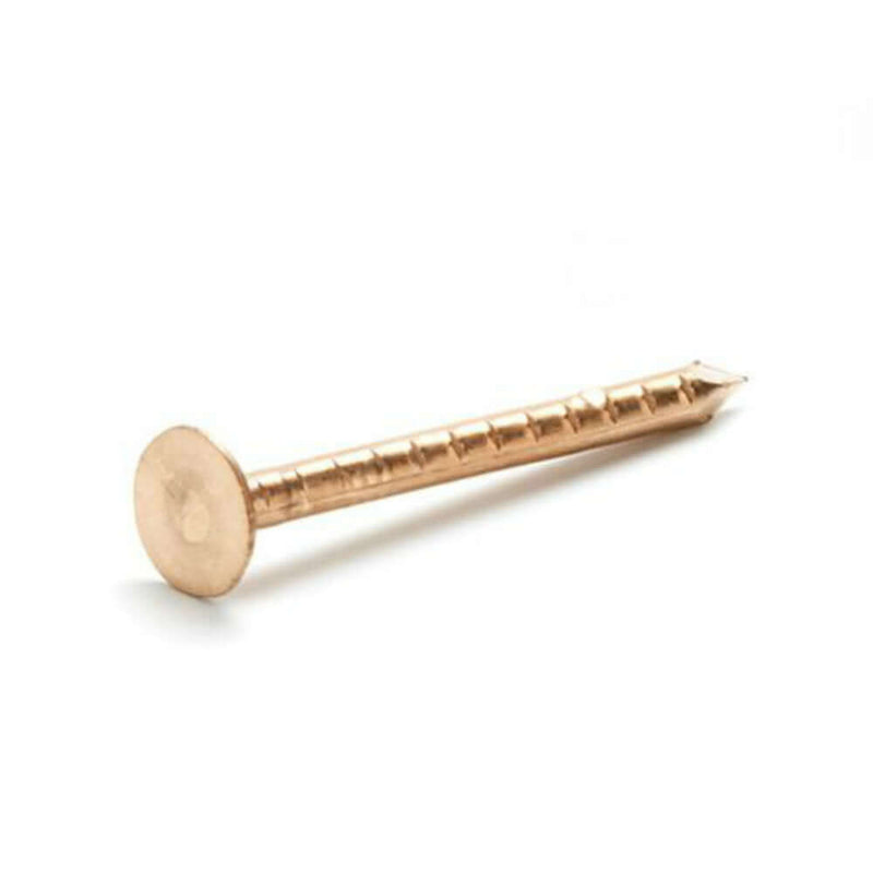 An image of a single copper clout nail with a larger head than normal nails.
