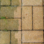 An image of Everbuild Patio Wizard used to remove Algae and from a patio.