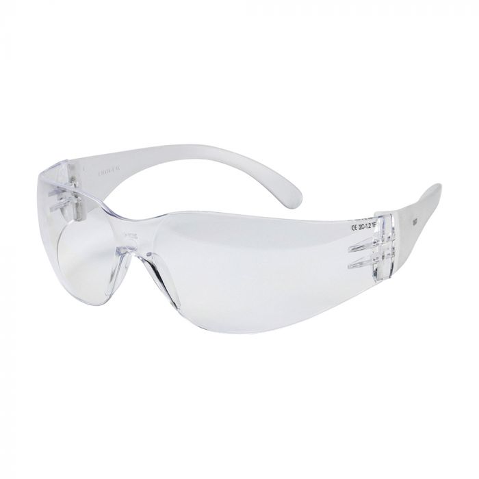 Standard Safety Glasses, Clear: One Size